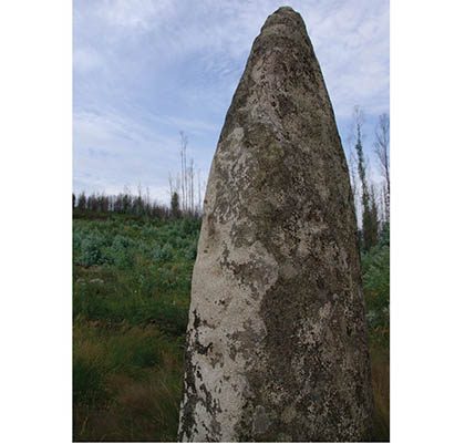 2.3.%20DETALLE%20MENHIR%20TOME%20MARTINEZ.tif