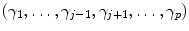 
$$(\gamma _{1},\ldots,\gamma _{j-1},\gamma _{j+1},\ldots,\gamma _{p})$$
