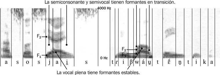 12.12 Sonograma de triptongos en {asociáis} y {tribu auténtica}.