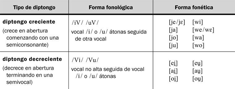 12.15 Las diferencias entre los diptongos crecientes y diptongos decrecientes.