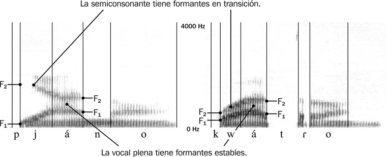 12.7 Sonograma de diptongos crecientes en las palabras {piano} y {cuatro}. La semiconsonante [j] comienza con valores de 232 Hz para F1 y 1908 Hz para F2. La semiconsonante [w] comienza con valores de 232 Hz para F1 y 696 Hz para F2.