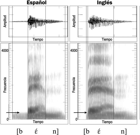 13.10 Forma de onda y sonograma de la articulación de la palabra española [bέ;n] {ven} y la palabra inglesa [bέn] {Ben}. Las flechas indican las zonas de presonorización.