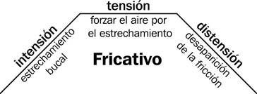 13.11 La producción de un sonido fricativo con sus tres fases: intensión, tensión y distensión.