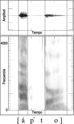 13.15 Forma de onda y sonograma de la articulación del sonido español [p˺].