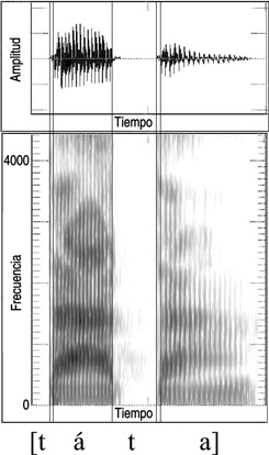 13.18 Forma de onda y sonograma de dos articulaciones del sonido español oclusivo dental sordo [t].