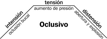 13.2 La producción de un sonido oclusivo con sus tres fases: intensión, tensión y distensión.