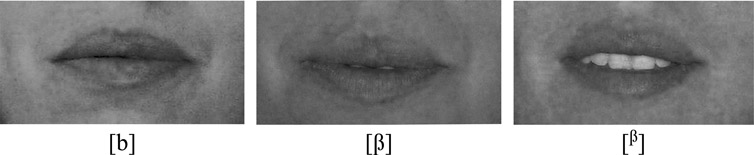 13.31 Fotografías de la posición articulatoria de los labios en la producción de [b], [β] y [β].