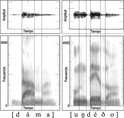 13.38 Forma de onda y sonograma de la articulación del sonido español [d] en la palabra {dama} y en la frase {un dedo}.