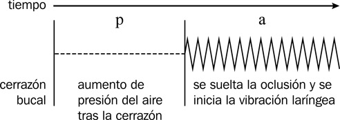 13.4 Representación temporal de los pasos para la articulación de una oclusiva sorda en posición inicial de sílaba seguida de una vocal en español.