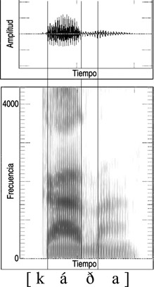 13.40 Forma de onda y sonograma de la articulación del sonido español [ð] en la palabra {cada}.
