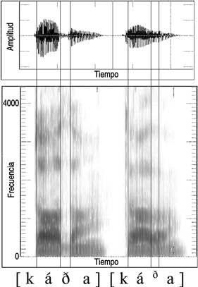 13.41 Forma de onda y sonograma de la articulación del sonido español fricativo [ð] y cuasifricativo [ð] en la palabra {cada}.