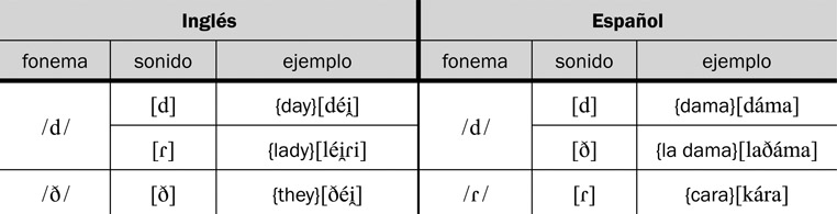 13.42 La diferencia fonológica entre los fonemas /d/ y /ð/ del inglés y /d/ y /ɾ/ del español.