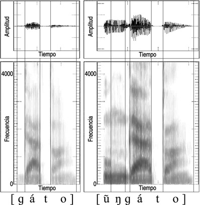 13.48 Forma de onda y sonograma de la articulación del sonido español [g] al comienzo de la palabra {gato} y en la frase {un gato}.