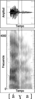 13.50 Forma de onda y sonograma de la articulación del sonido español [ɣ] en la palabra {haga}.