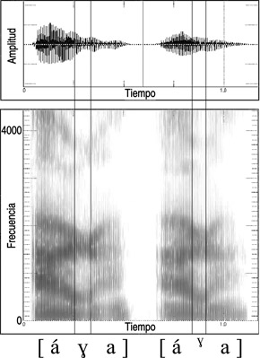 13.51 Forma de onda y sonograma de la articulación del sonido español fricativo [ɣ] y cuasifricativo [ɣ] en la palabra {haga}.