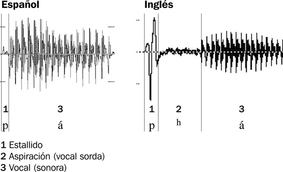 13.7 Las formas de onda de la transición entre una oclusiva sorda y una vocal en español y en inglés.