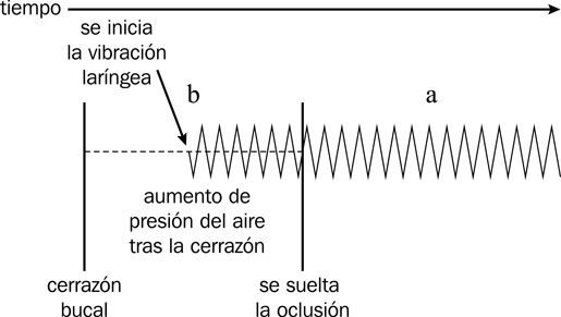 13.8 Representación temporal de los pasos para la articulación de una oclusiva sonora en posición inicial de sílaba seguida de una vocal, indicando la presonorización típica del español.