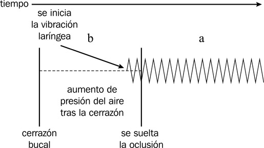 13.9 Representación temporal de los pasos para la articulación de una oclusiva sonora en posición inicial de sílaba seguida de una vocal del inglés, indicando un mínimo de presonorización con respecto al español.