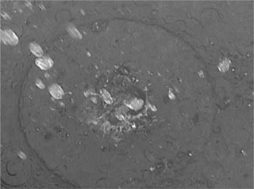 6.2 Si se tira una piedra a un charco, se forman ondas que viajan en círculos concéntricos desde el punto de impacto hasta las orillas del charco.