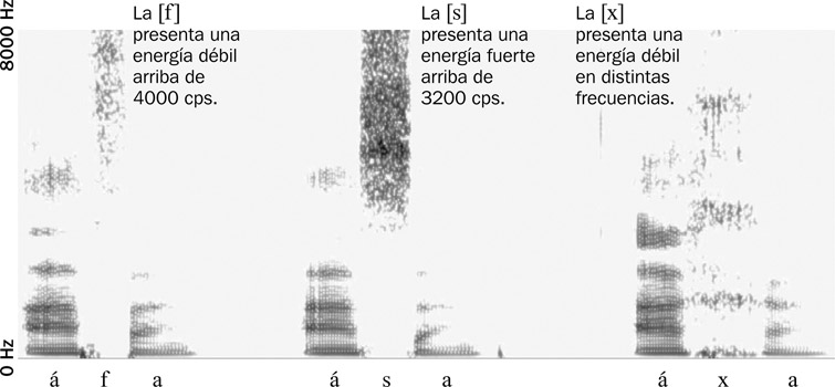 6.28 Sonograma de banda estrecha, indicando las transiciones de los formantes vocálicos al aproximarse o alejarse de las fricativas labiodental, alveolar y velar.