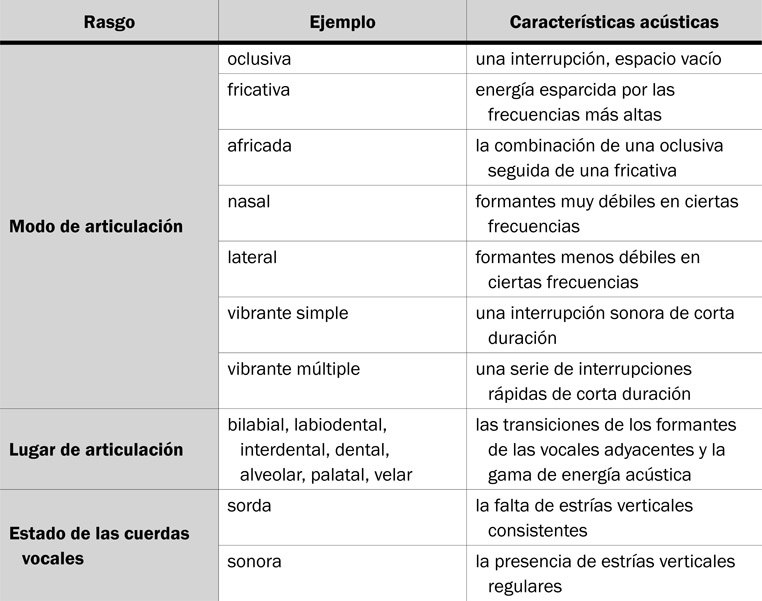 6.35 Para identificar las consonantes en el sonograma, hace falta determinar el modo de articulación, el lugar de articulación y el estado de las cuerdas vocales.