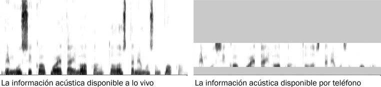 7.11 Sonogramas de una oración en español. El primero muestra la información acústica principal disponible a lo vivo, que se encuentra entre 0 Hz y 8000 Hz. (El oído humano, sin embargo, es capaz de percibir entre 20 Hz y 20.000 Hz). El segundo sonograma muestra la información acústica total disponible por teléfono.