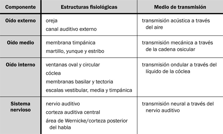 7.12 Los componentes del sistema de audición.