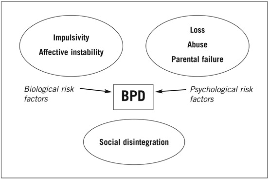 Figure 4.2 Paris’s amplification model of Borderline Personality Disorder.