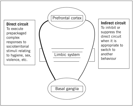 Figure 6.1 A model of OCD.