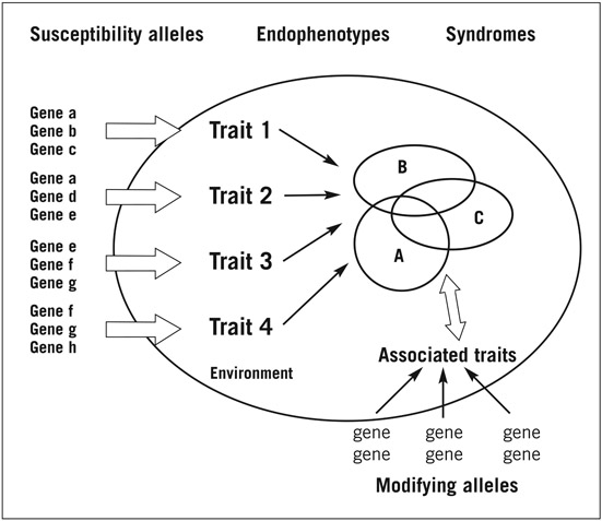 Figure 9.2 Genetic model for schizophrenia (Weinberger).