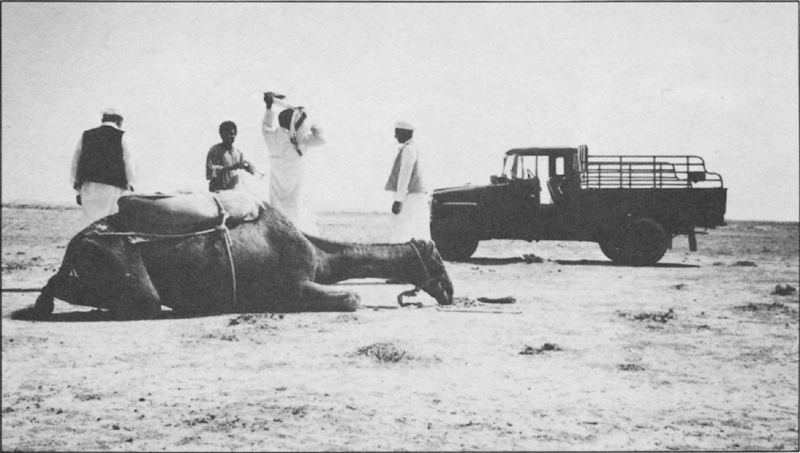 Herd owners bring supplies in their truck to hired camel-herders