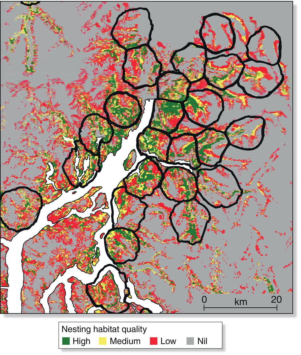 Map plotting the territories of northern goshawk (Accipiter gentilis) and the nesting habitat quality (high, medium, low, and nil) with circled territories having poorer habitats.