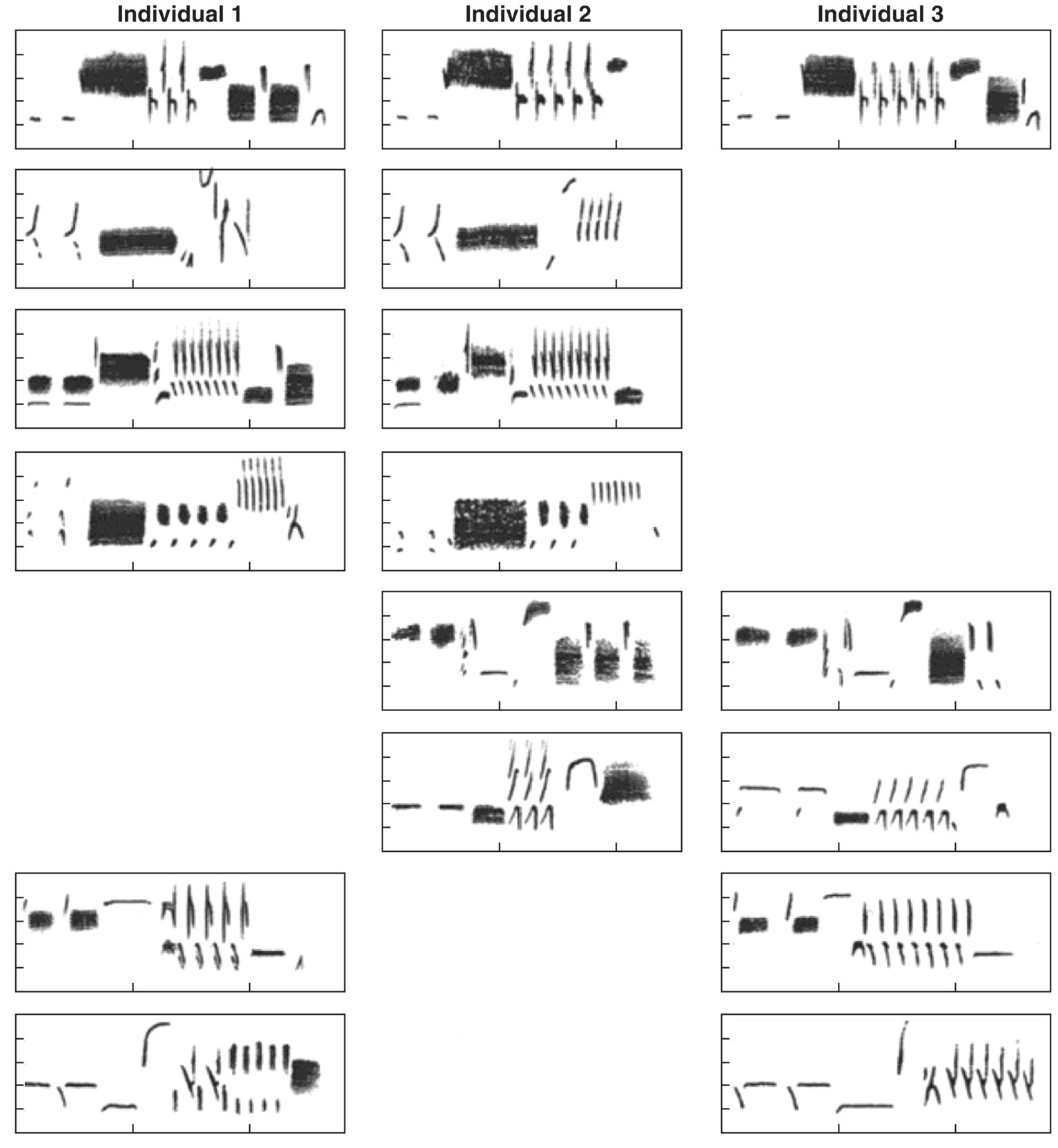 Spectrograms of young male song sparrows (Melospiza melodia), displaying three columns of song repertoires of three neighboring birds, with rows similar (shared) song types.