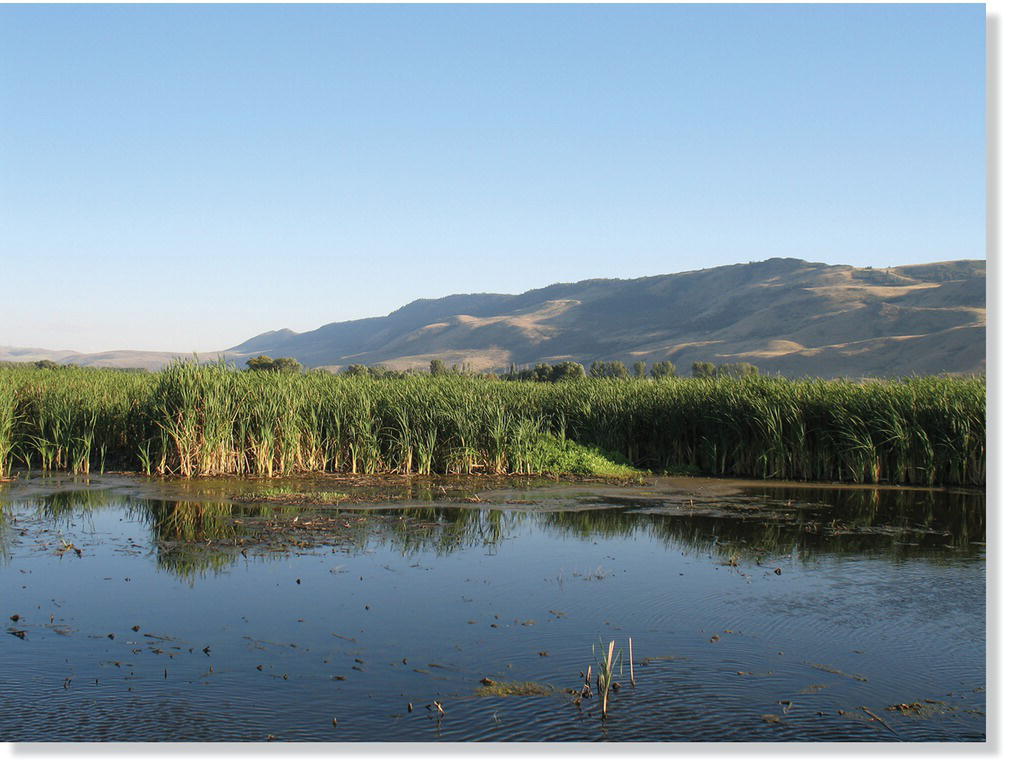 Photo displaying mountains of Western Oregon, USA.