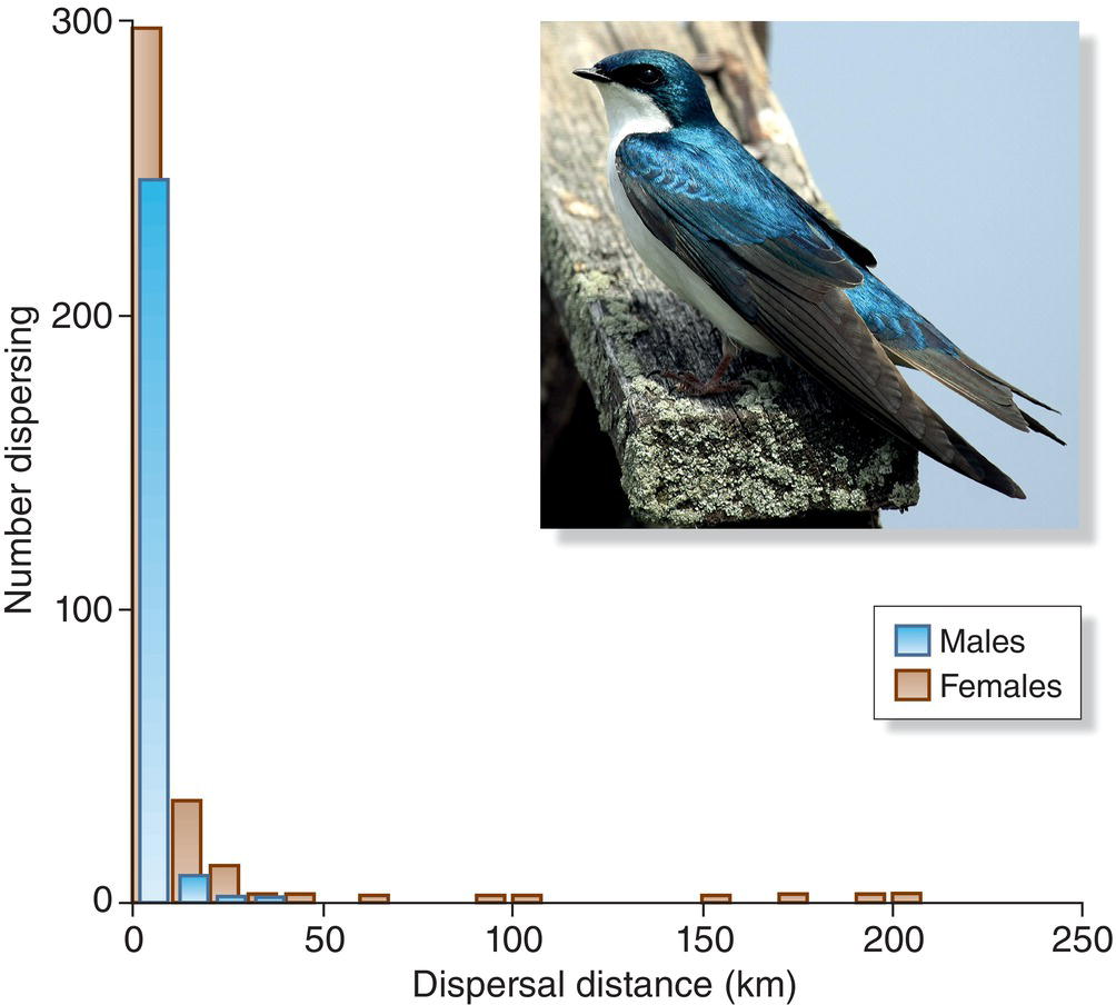 Grouped bar graph of number dispersing over dispersal distance for males and females of the tree swallows (Tachycineta bicolor). The bird is displayed as a photo on the upper-right of the graph.