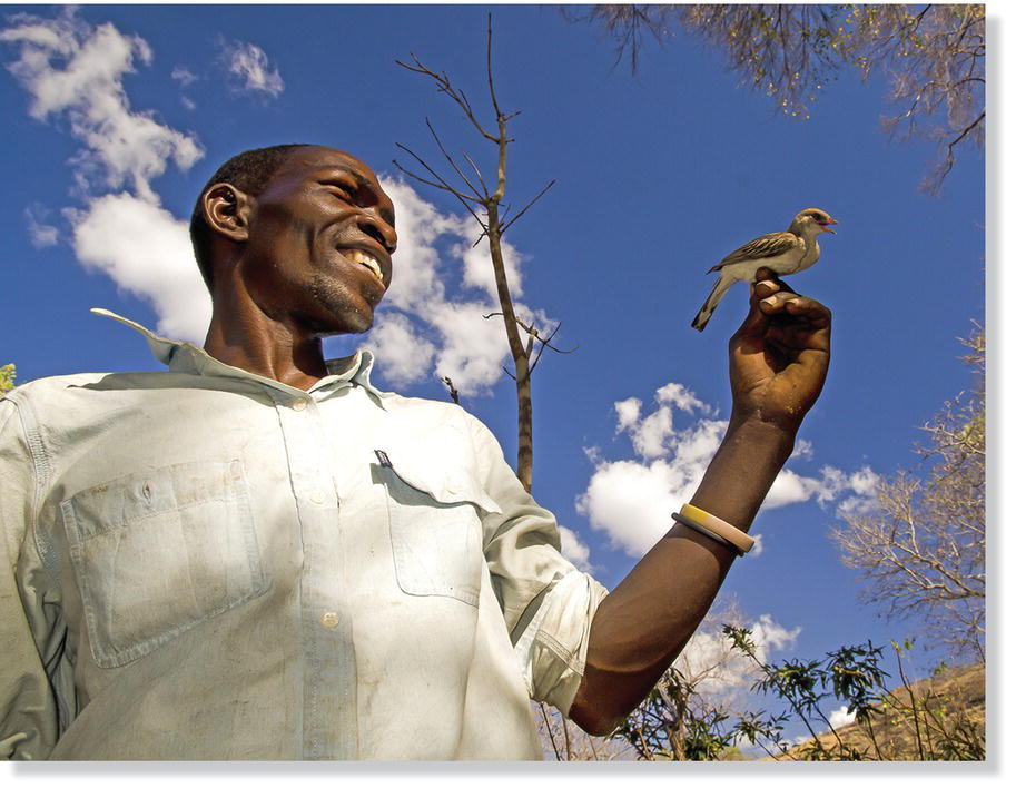 Photo of Orlando Yassene with a greater honeyguide on his hand.