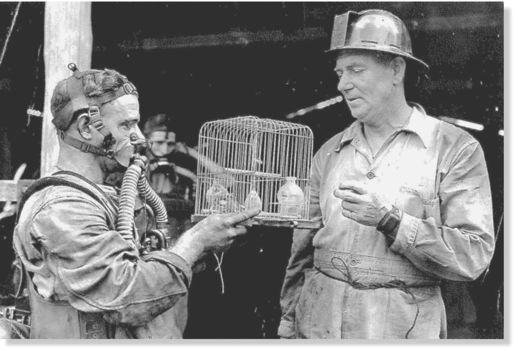 Photo displaying two miners with one holding a cage with canaries inside.