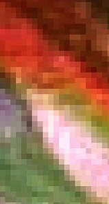 This is what the individual pixels of an image on the screen look like.