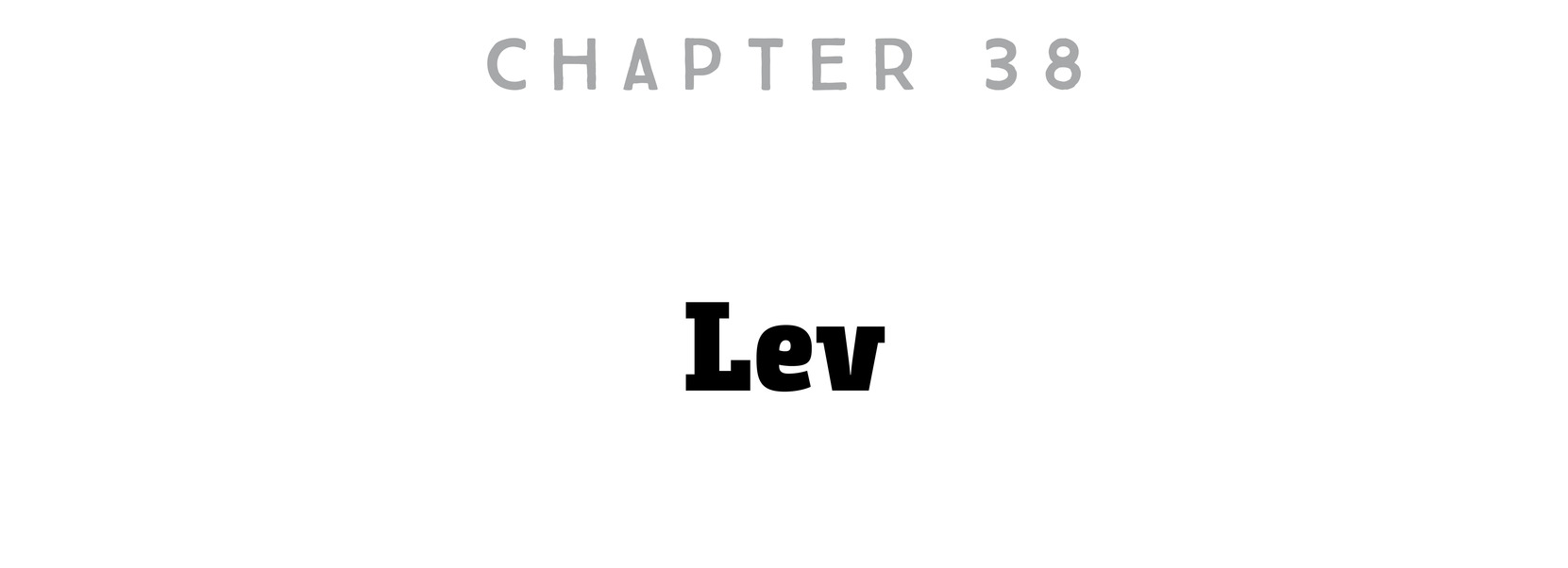 Chapter 38 Lev