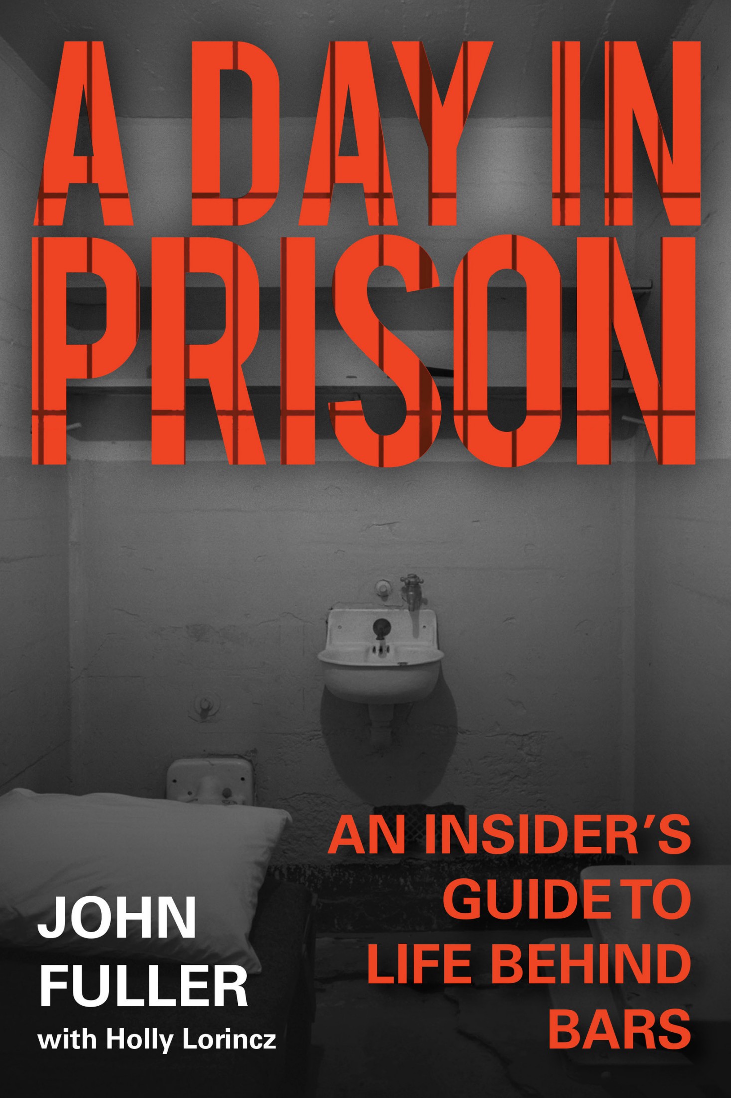 Cover Page of Day in Prison