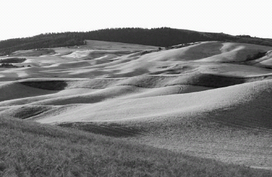 FIGURE 2.1. The rolling, dune-like hills of the Palouse support fragments of native prairie amid one of the richest grain-producing landscapes in the world....