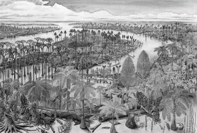 FIGURE 4.2. This classic view of a Carboniferous coal forest shows a swampy world dominated by ferns, horsetails, and other spore plants....