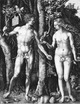 FIGURE 12.1. Albrecht Dürer’s 1504 engraving of Adam and Eve has it all—fig leaves, a tree, a snake,...