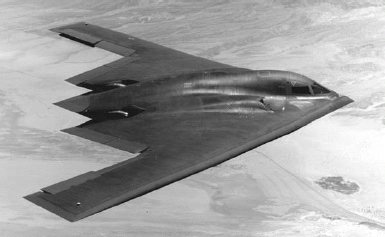 FIGURE 13.4. The Northrop Grumman B-2 Spirit, better known as the Stealth Bomber, took inspiration from the flying-wing design of Javan cucumber seeds....