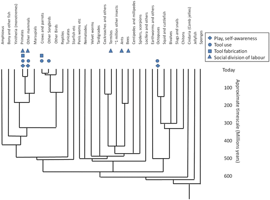 A385014_1_En_10_Fig2_HTML.gif