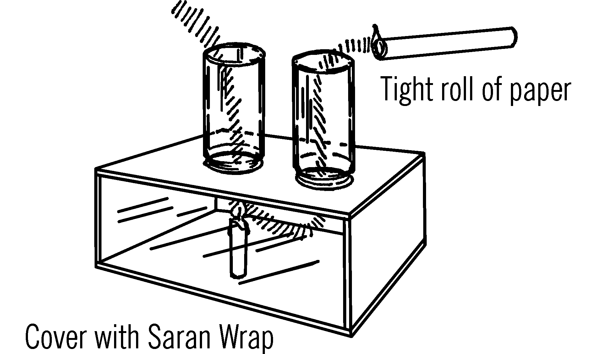 convection current box.