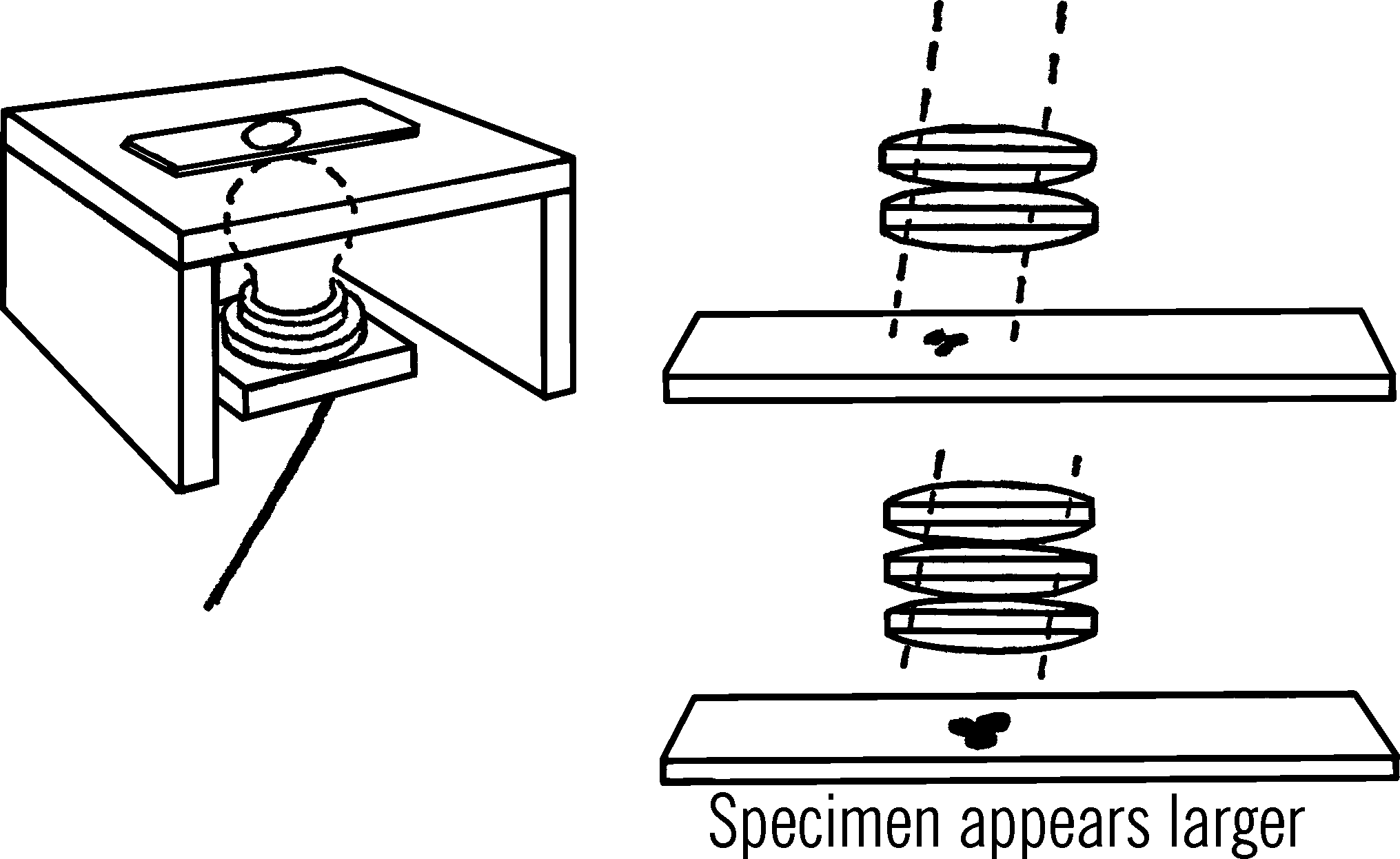 Low-power microscope.