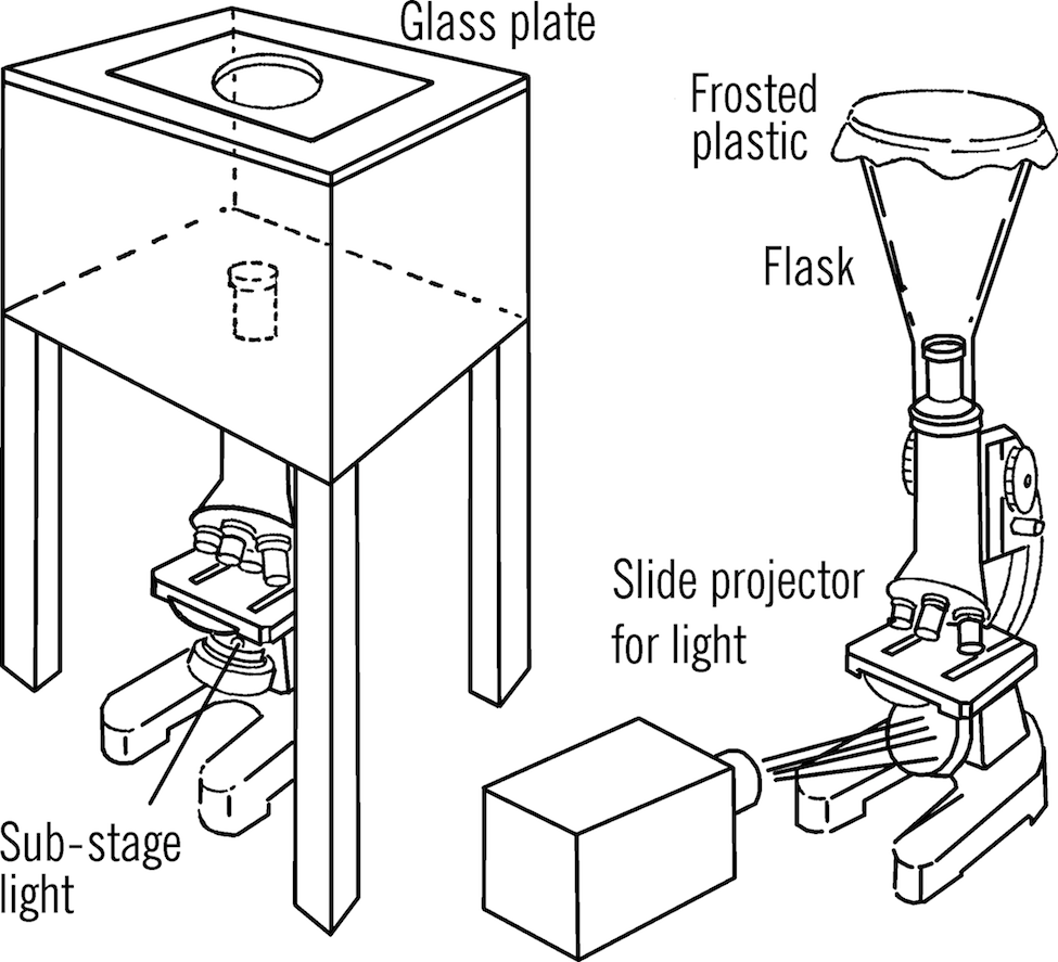 Micrograph.