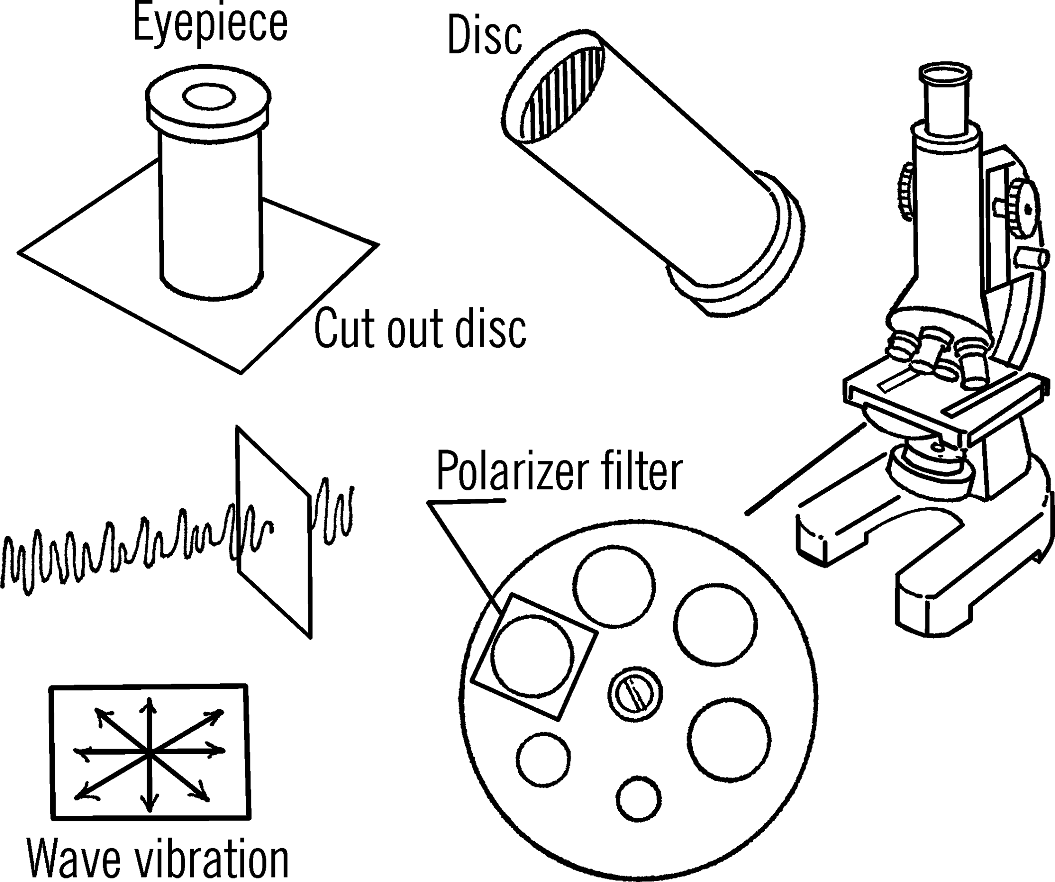 Polarized light filters.