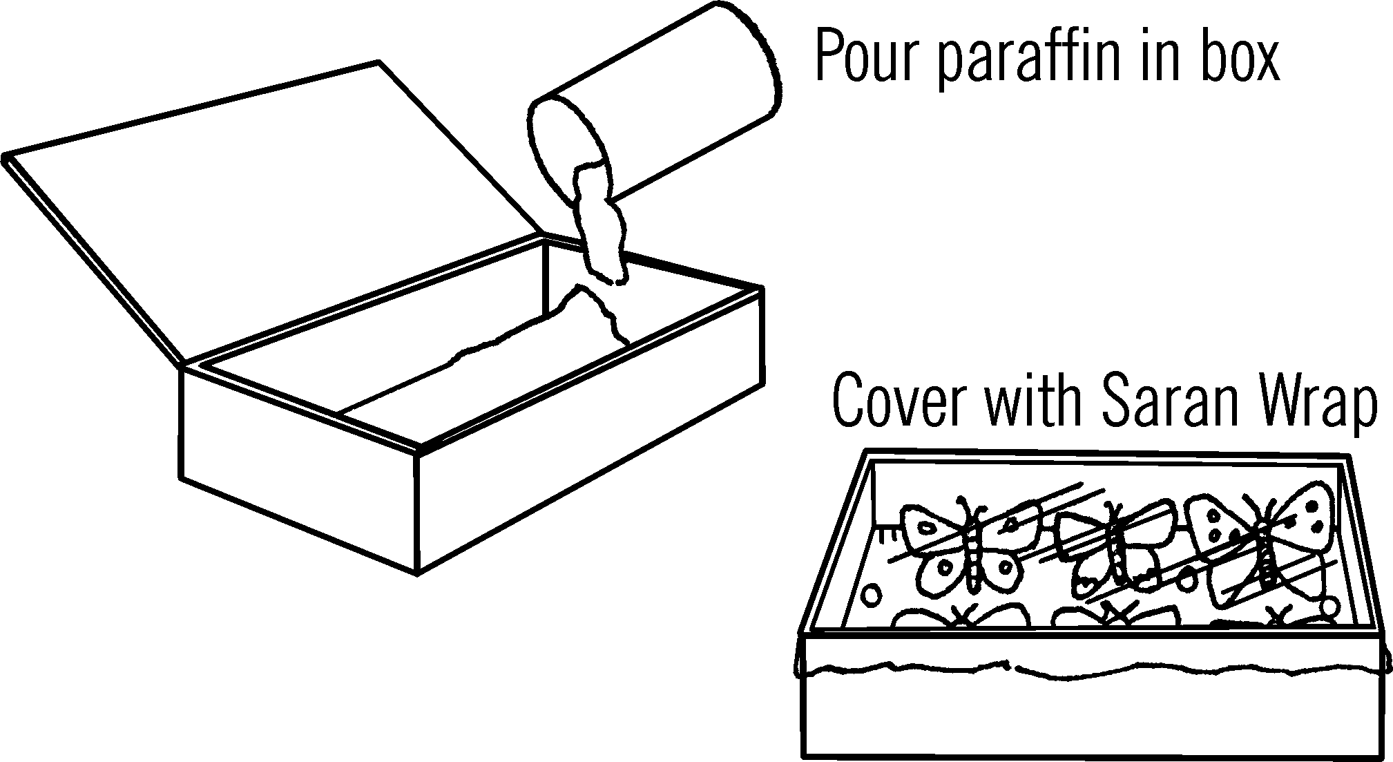 Insect mounting box.